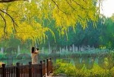 mk体育官网入口-MK体育官网入口，开启数字化体育新纪元
